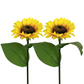 🌻 ✨ Napraforgó alakú napelemes lámpák – automatikus be-/kikapcsolás, 14 órás világítás, IP65 vízálló ☀️