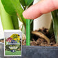 🌱 Tartós növényi táprudak – kiegyensúlyozott gyökereknek, leveleknek és virágoknak! 🌿✨