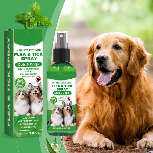 🍃Kutyáknak és macskáknak készült természetes bolha- és kullancsriasztó spray🐾 – Védje kedvencét a parazitáktól