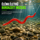 ⏰1 +1 Ingyen！🎣Bionikus földigiliszta-utánzatú lágycsali