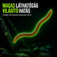 ⏰1 +1 Ingyen！🎣Bionikus földigiliszta-utánzatú lágycsali